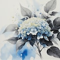 紫陽花 3 5枚目