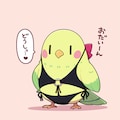 モノキニ喋るインコ 6枚目