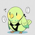 モノキニ喋るインコ 4枚目