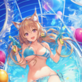ビキニ 2枚目