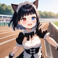 9月の通りすがりの迷子猫② 11枚目
