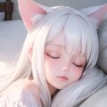白猫、睡眠、ベッド 4枚目