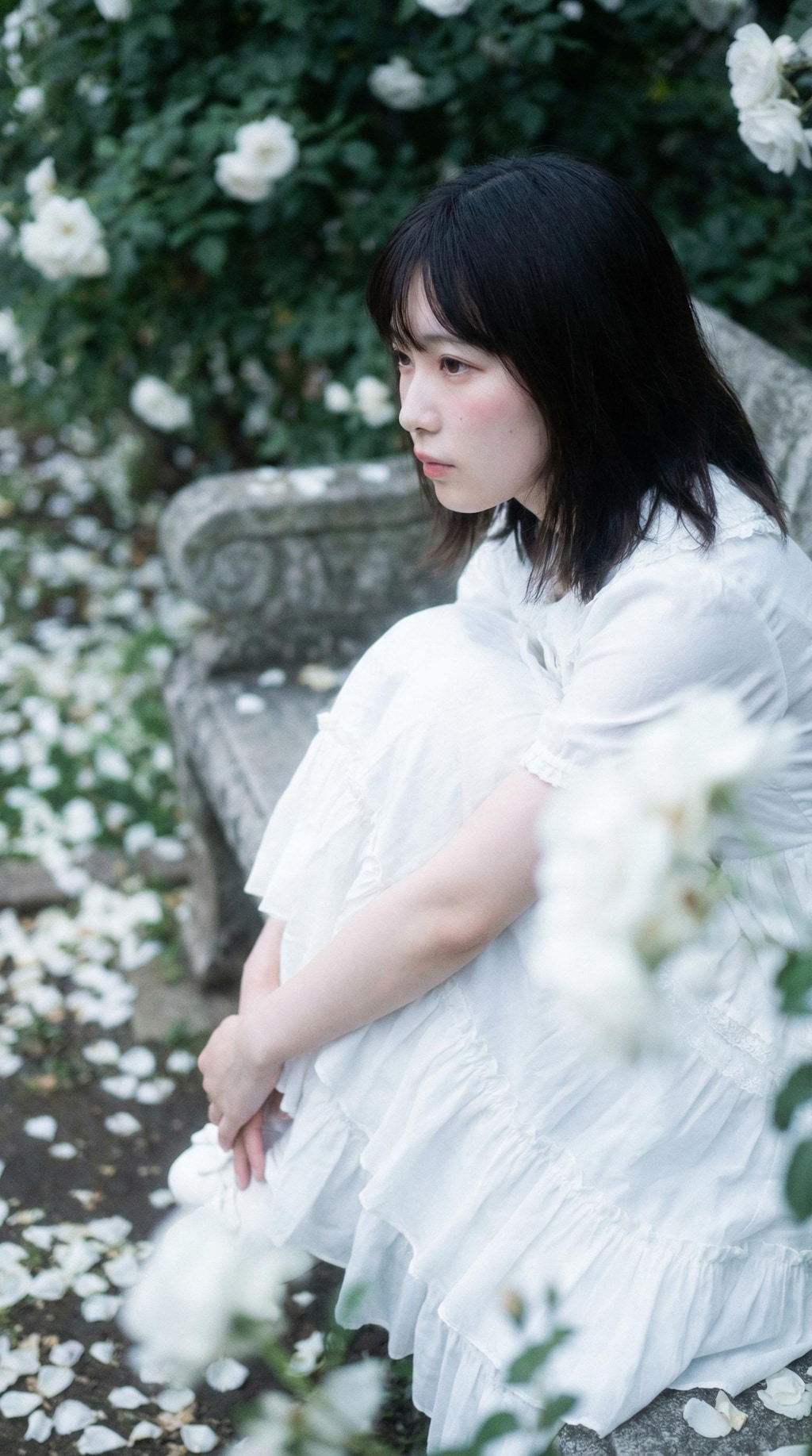 A Silence Blooming in White