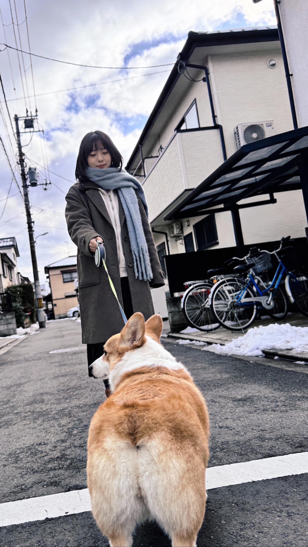 The Golden Curve of Morning