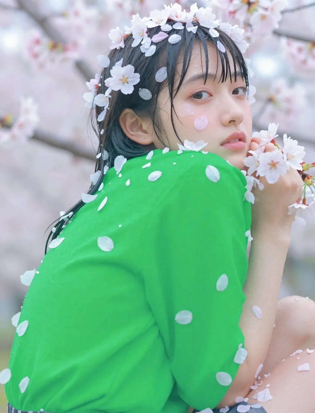 季節外れの桜まみれ