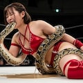 異業種格闘戦 人VS蛇 YURINAも敗北し失禁K.O.させられる 9枚目
