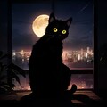 夜は月の町 3枚目