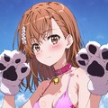 とあるミサカのニクキュ～ズ🐾🐾 2枚目
