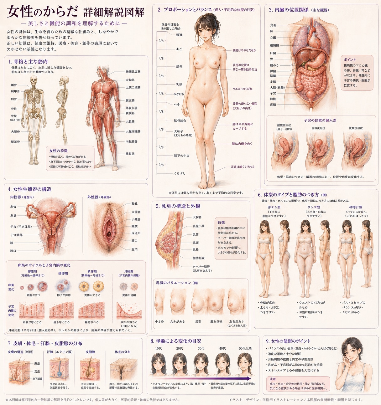 女性のからだ