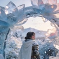 The Frozen Blossom Awakens 2枚目