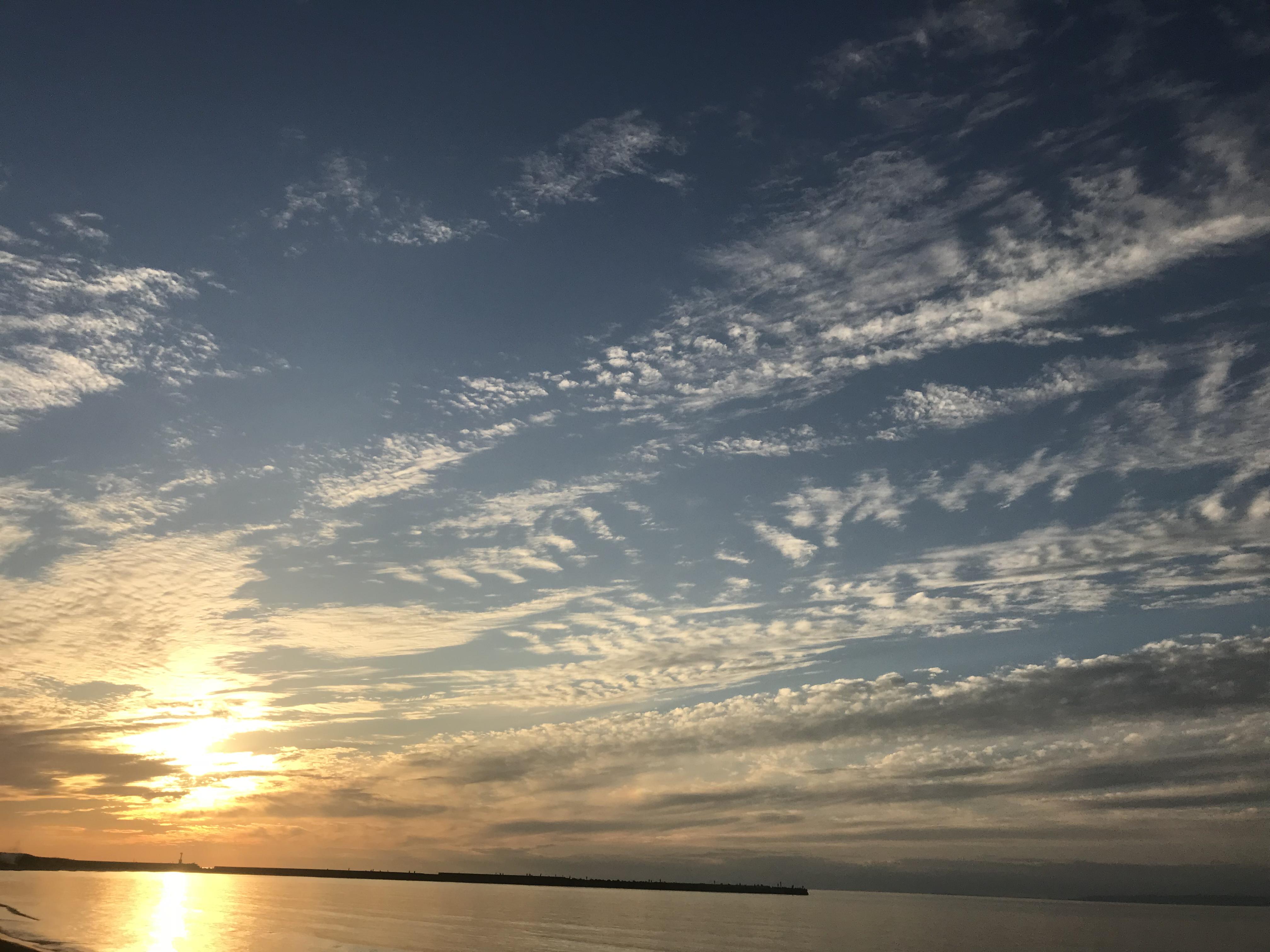 AI素材