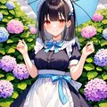 紫陽花と黒髪メイド 4枚目