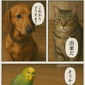 いぬとねこといんこ3 11枚目