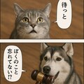 いぬとねこといんこ3 6枚目