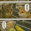 いぬとねこといんこ16 9枚目