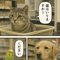 いぬとねこといんこ16 11枚目