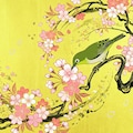 メジロと桜 2枚目
