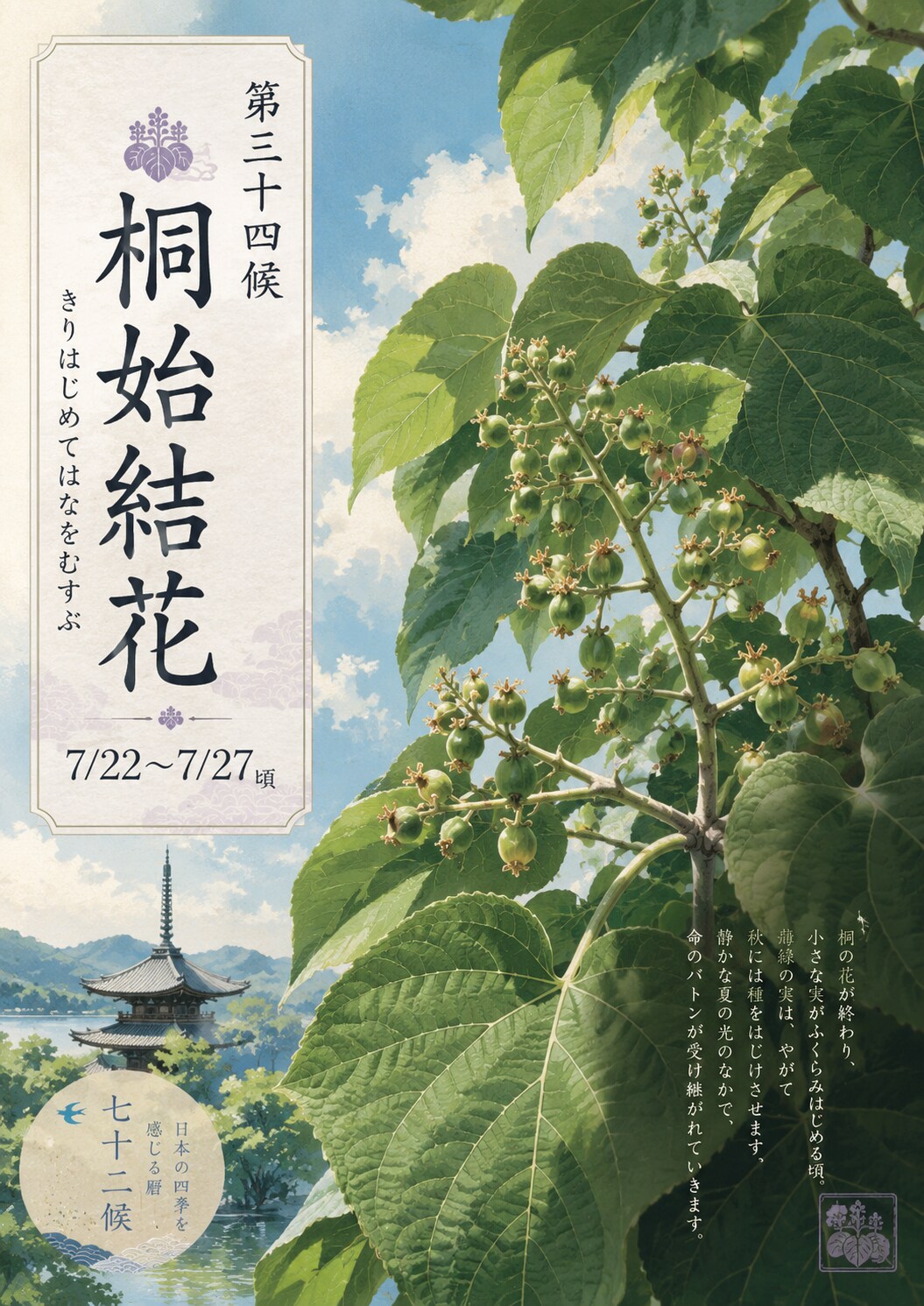 第三十四候「桐始結花 (きりはじめてはなをむすぶ)」7/22～7/27頃