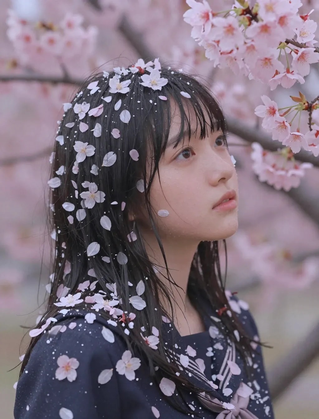 季節外れの桜まみれ