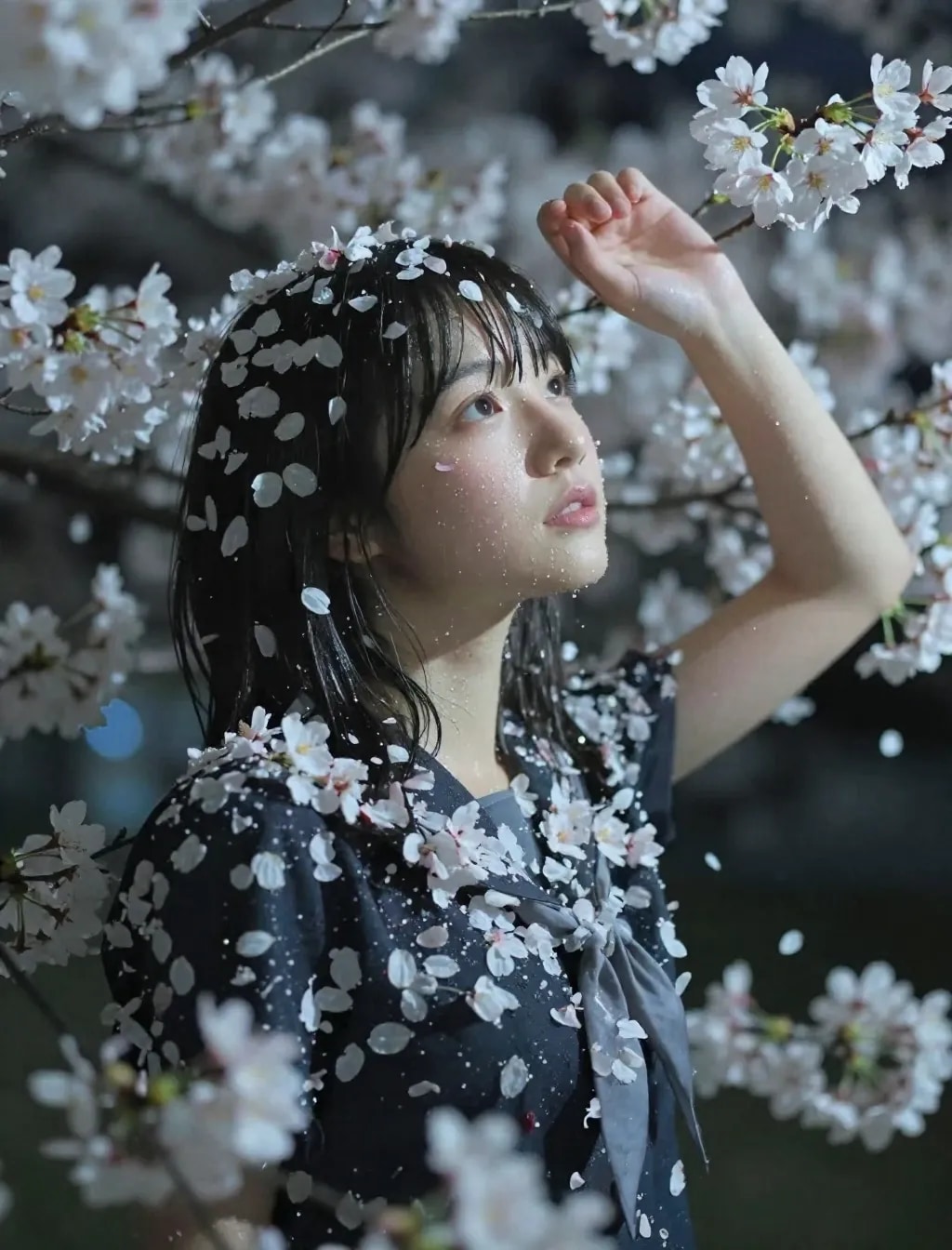季節外れの桜まみれ