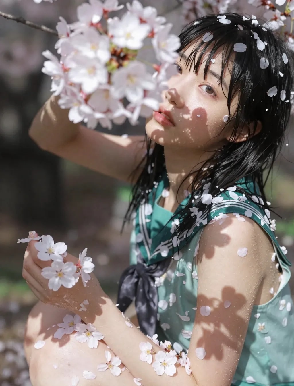 季節外れの桜まみれ