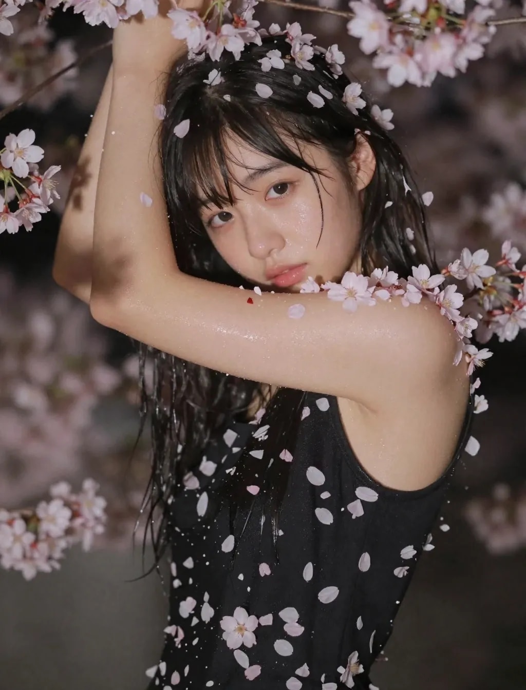 季節外れの桜まみれ