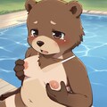 熊もみ 9枚目