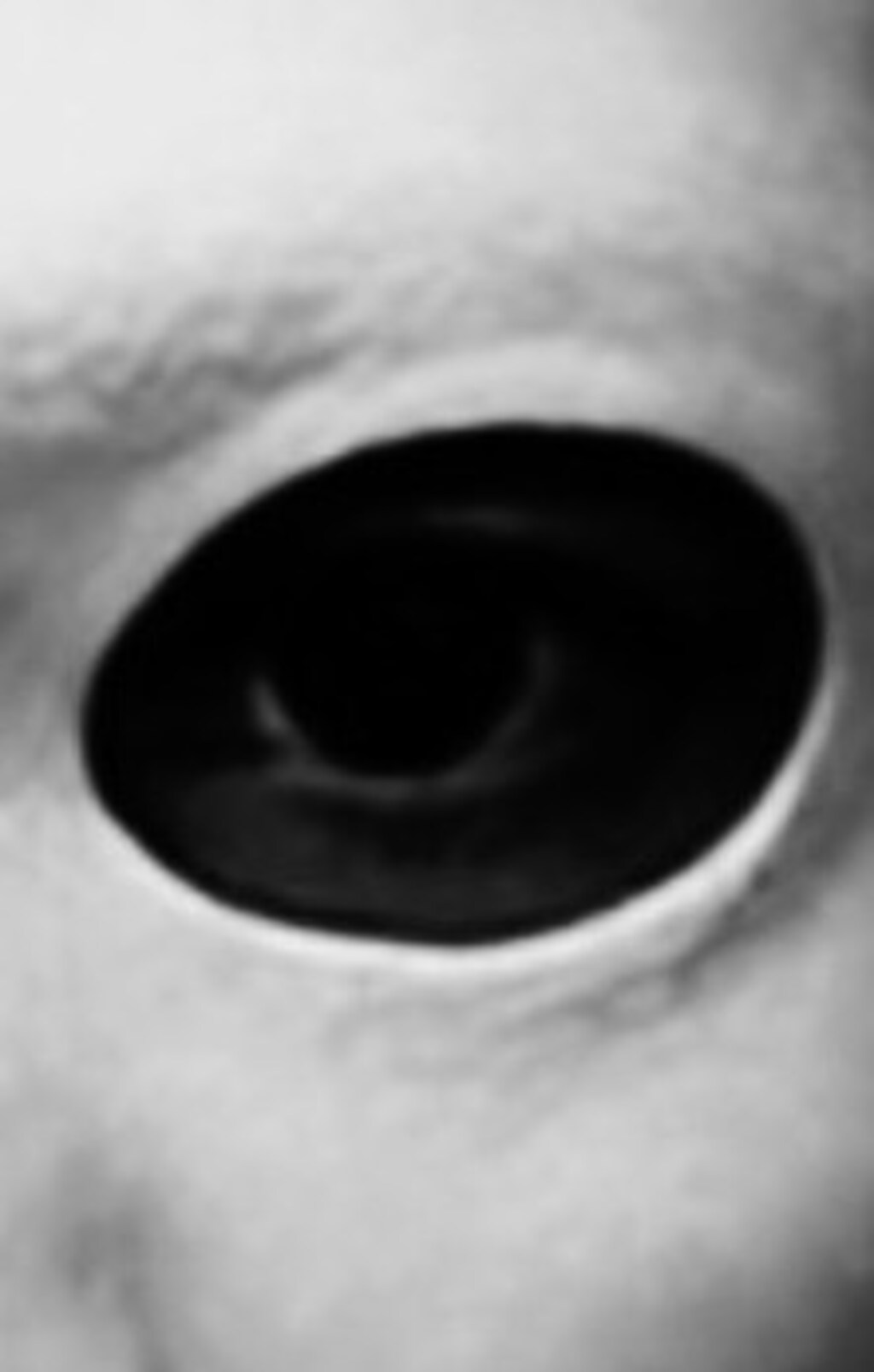 「俺もお祝いしてやったんだ！！」