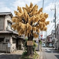 ラーメンの木 4枚目