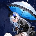 雨の晴れ間 4枚目