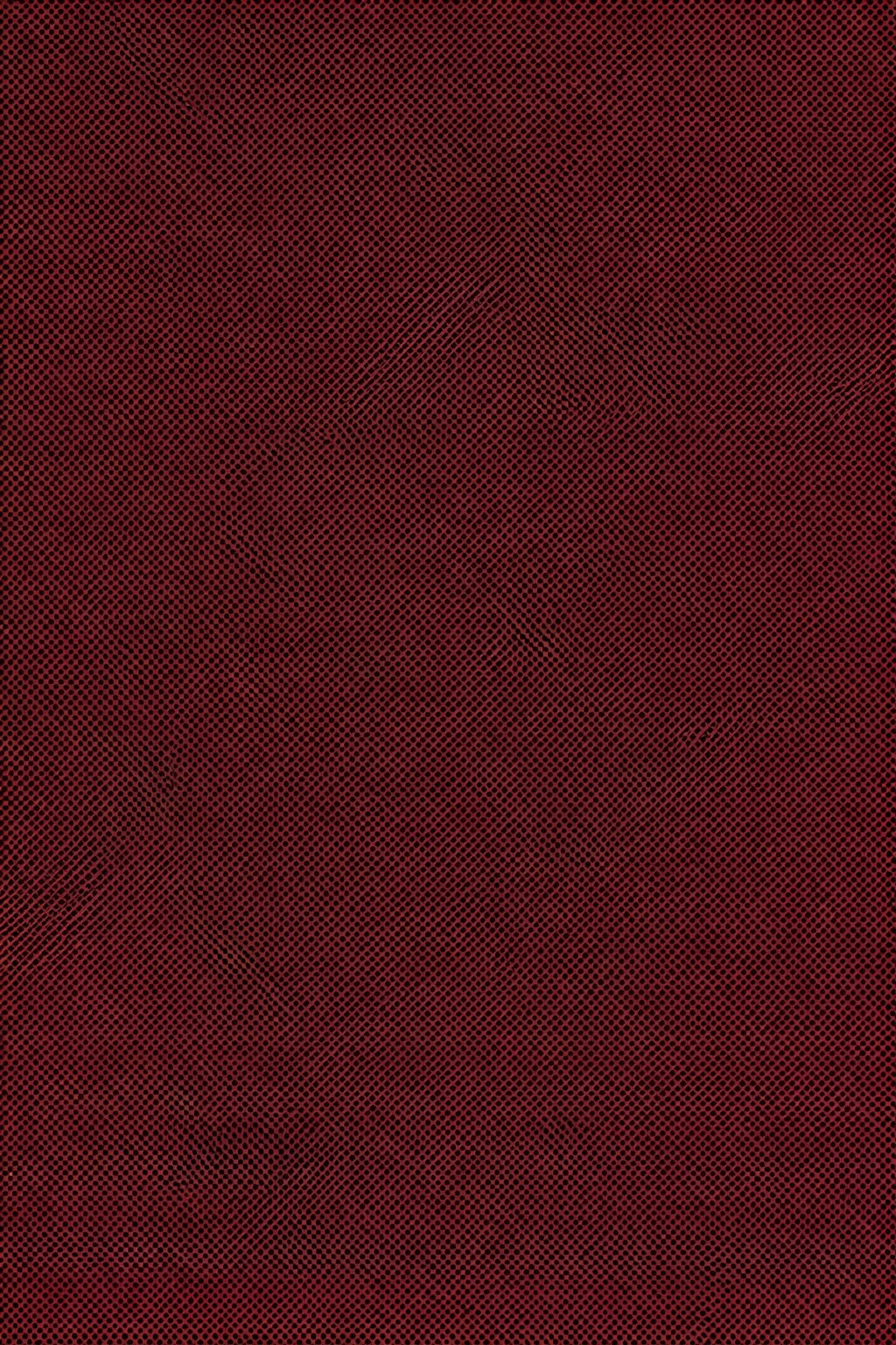 狸で生成した結果(^^;