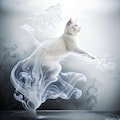 Smoke 2枚目