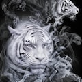 Smoke 4枚目