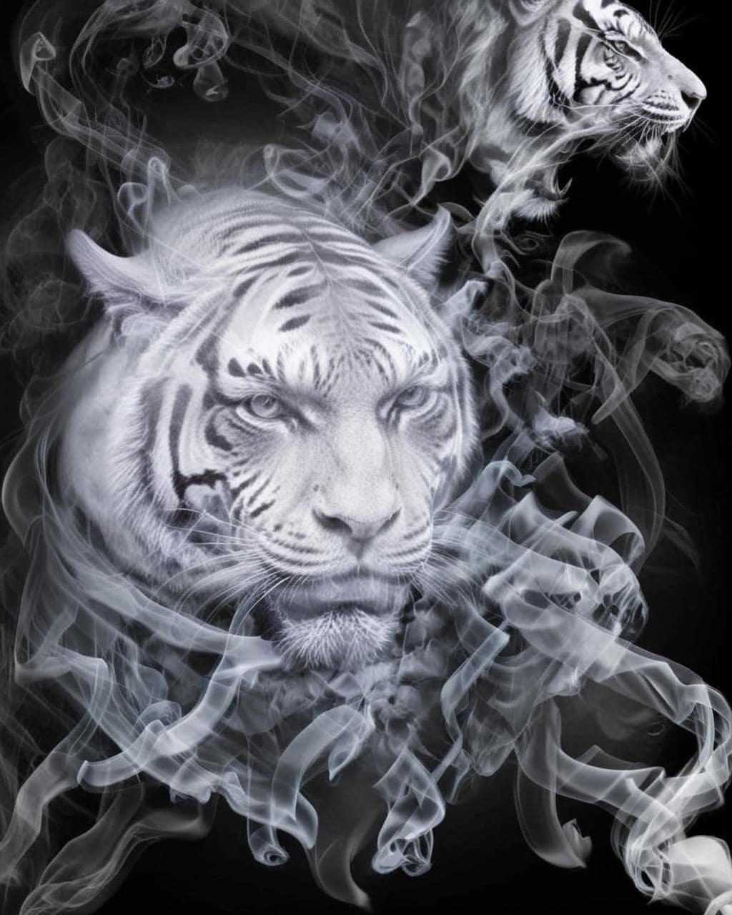 Smoke