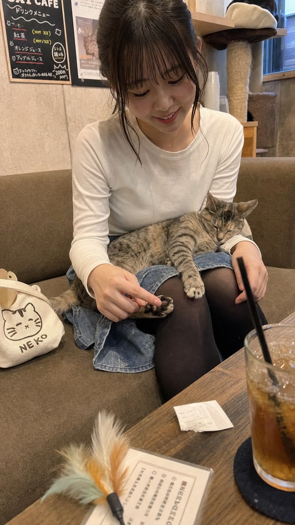 Sunday Belongs to Cats