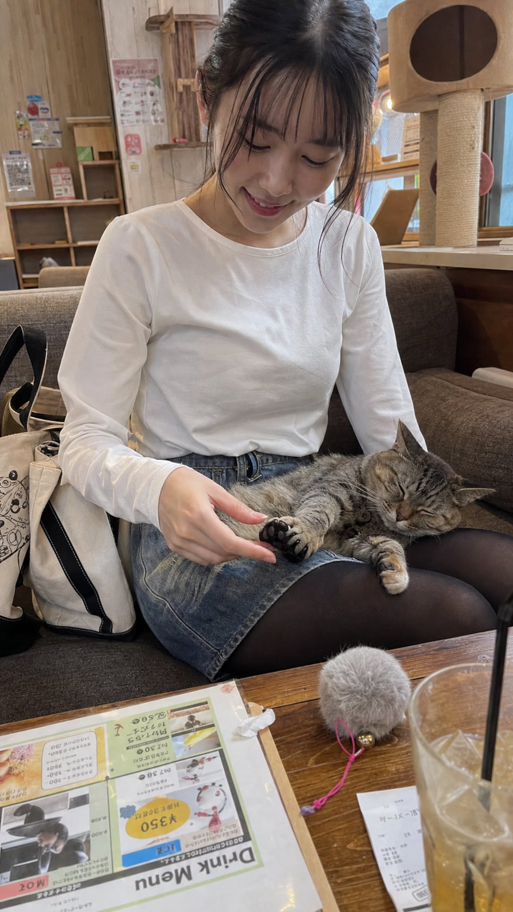 Sunday Belongs to Cats