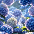 雨上がり 2枚目