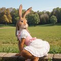 うさちゃん 11枚目