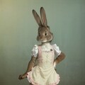 うさちゃん 3枚目