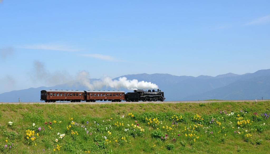 春の築堤を行く