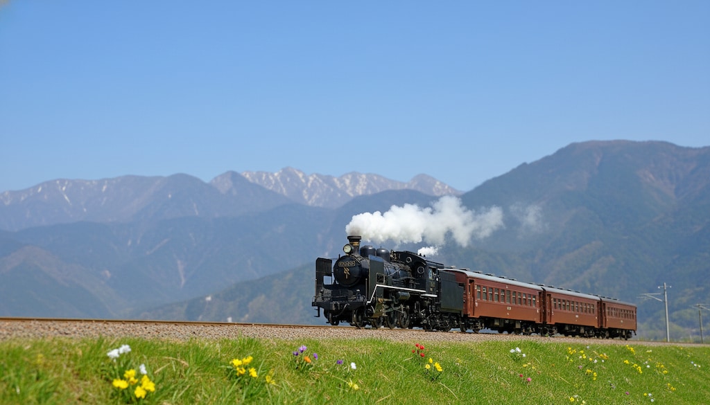 春の築堤を行く