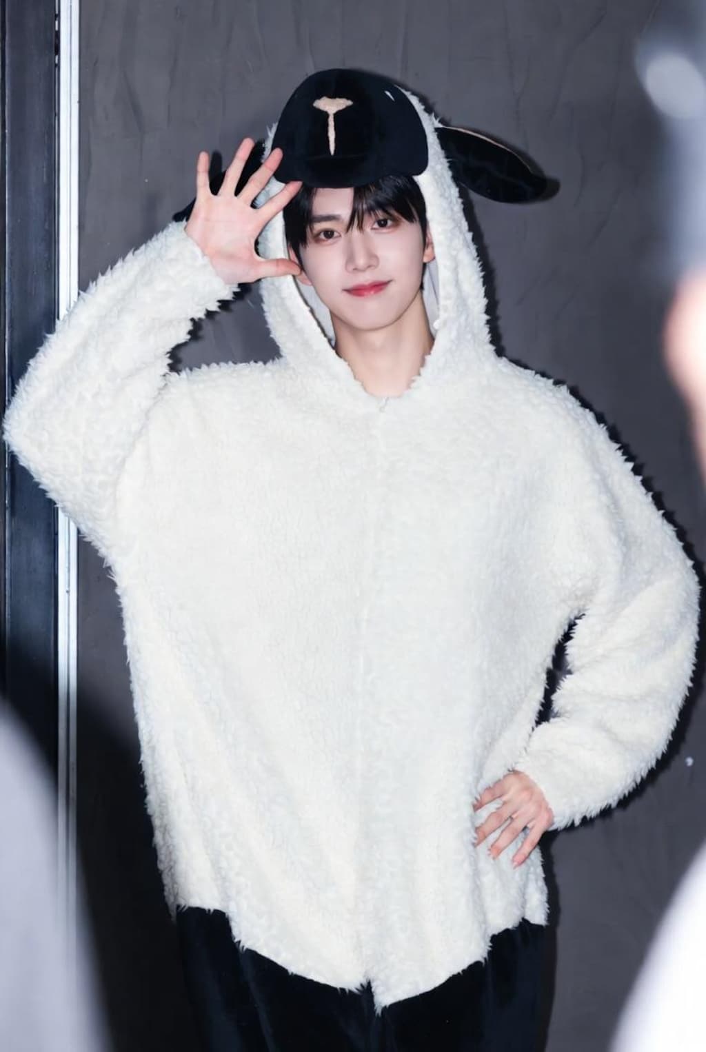 羊の皮を被ったけーぽ狼