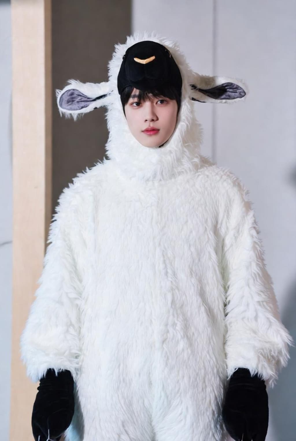 羊の皮を被ったけーぽ狼