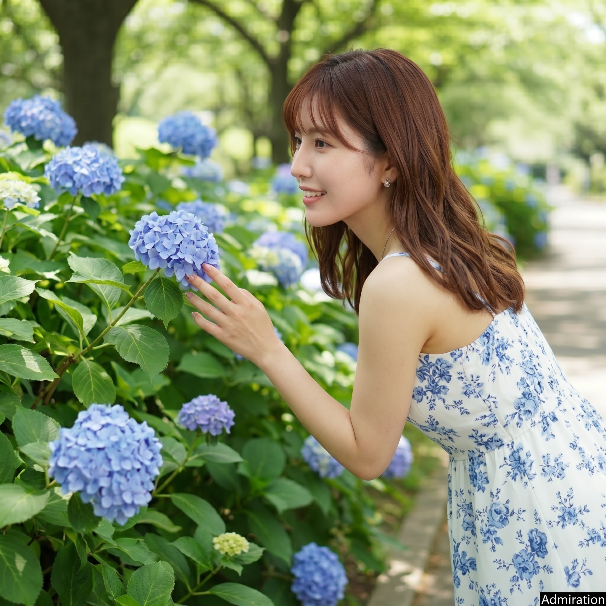 もうすぐ紫陽花の季節