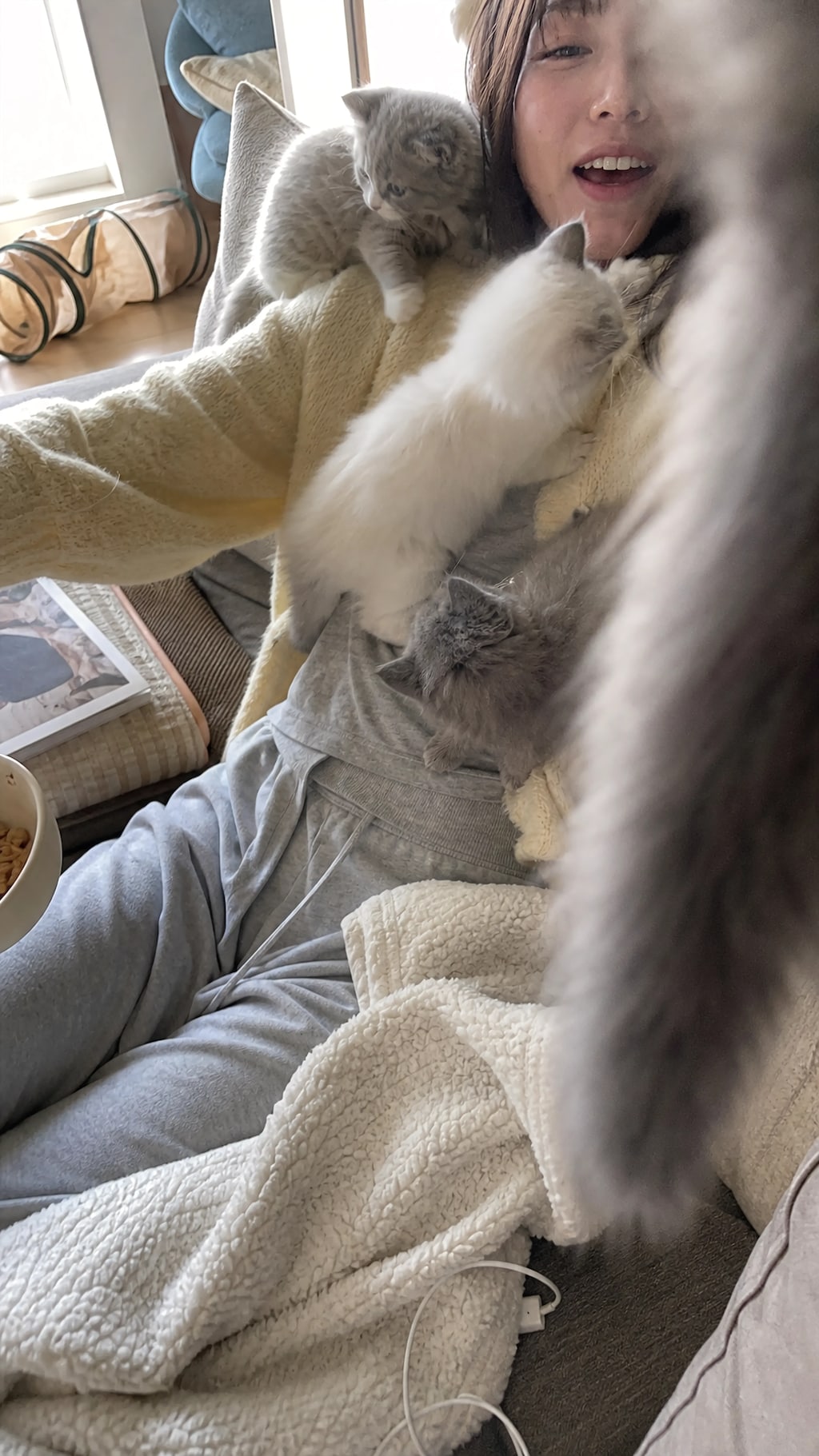 Living Under Cat Rule