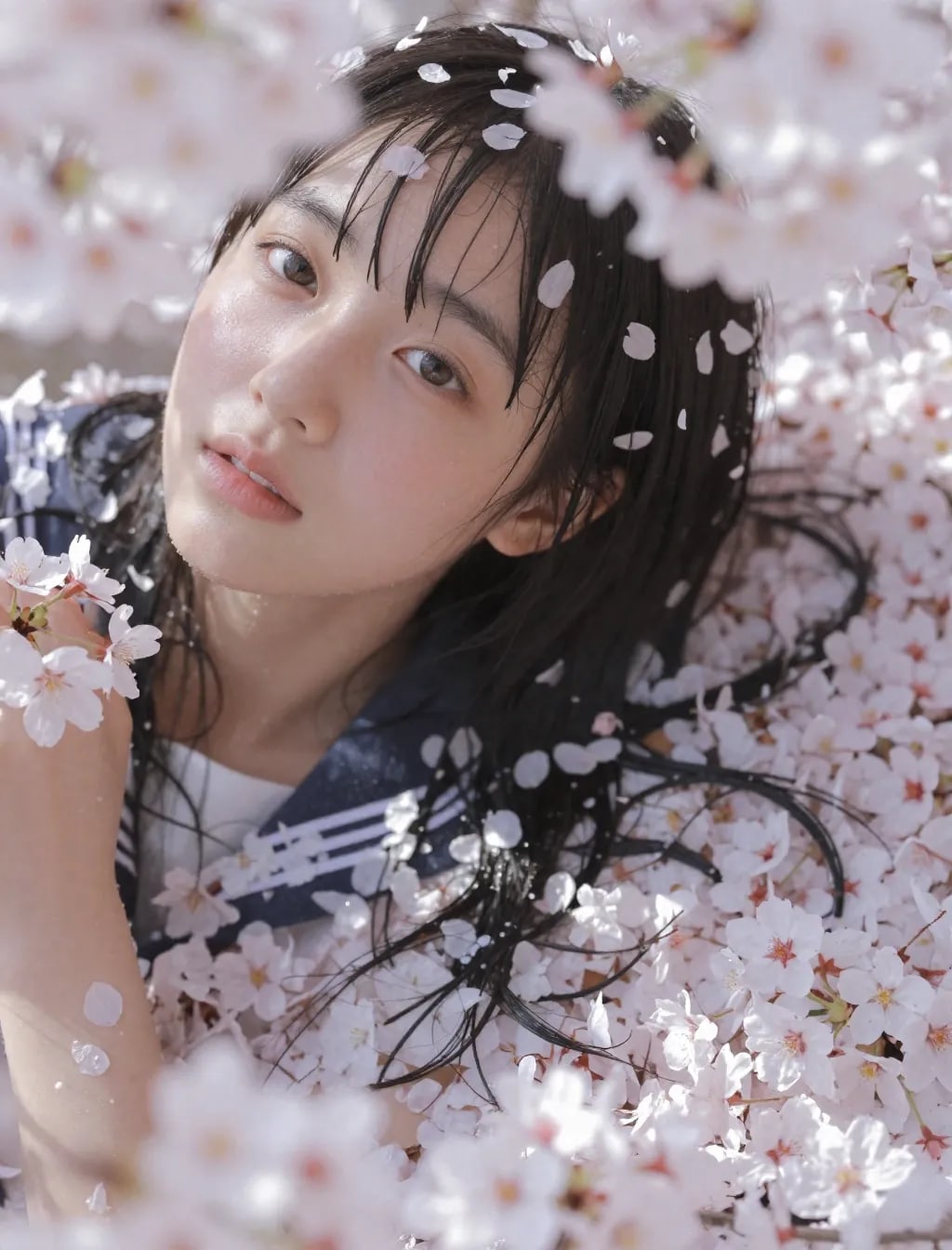 季節外れの桜まみれ
