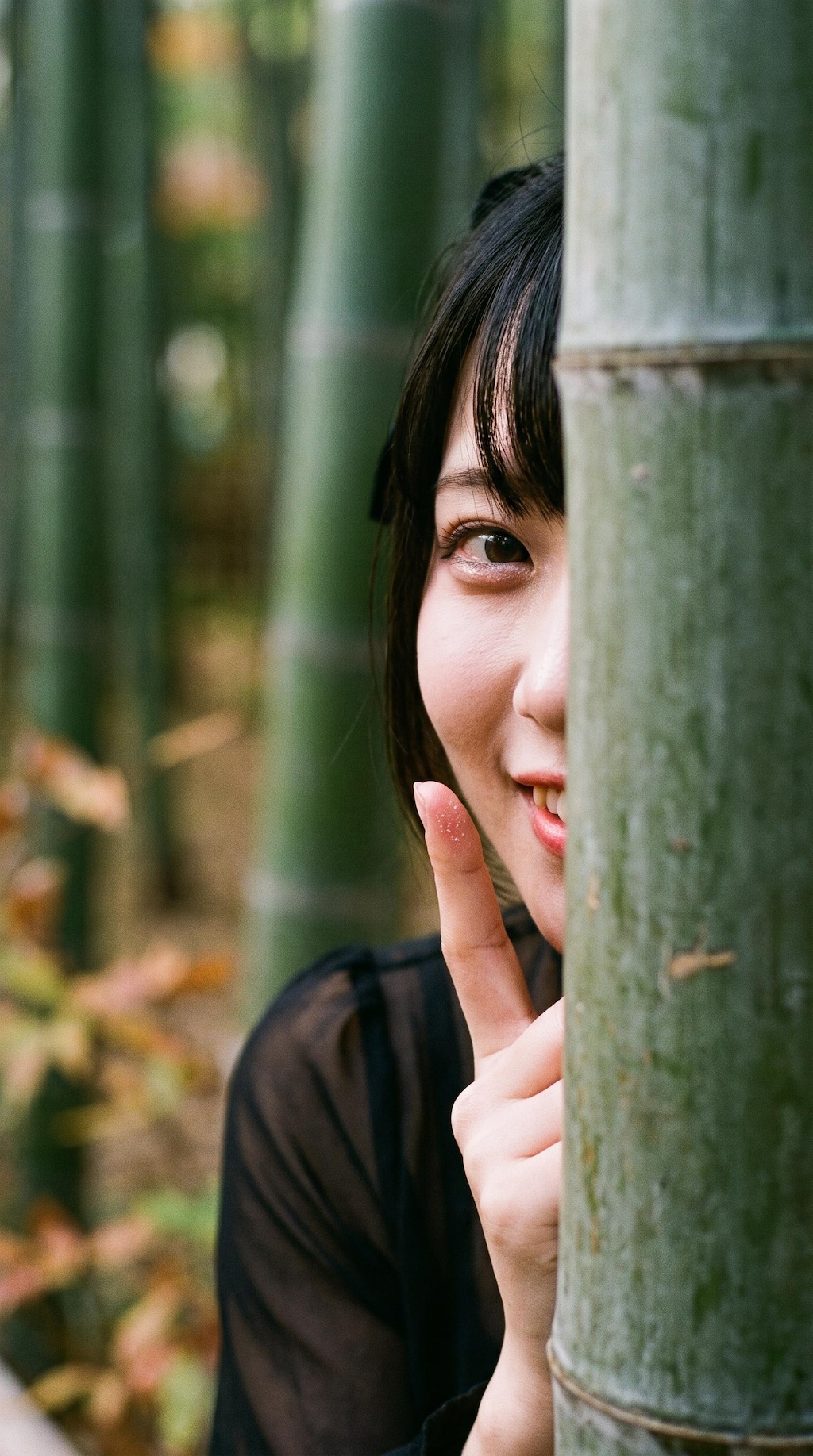 A Secret Between the Bamboo
