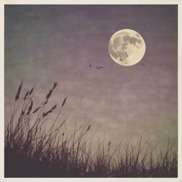 ◯関連 | の人気AIイラスト・グラビア