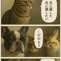 いぬとねこといんこ5 11枚目