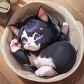 おはようございます。猫耳アイドル13 8枚目